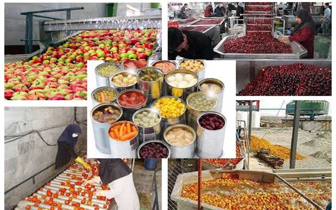 ایجاد صنایع تبدیلی