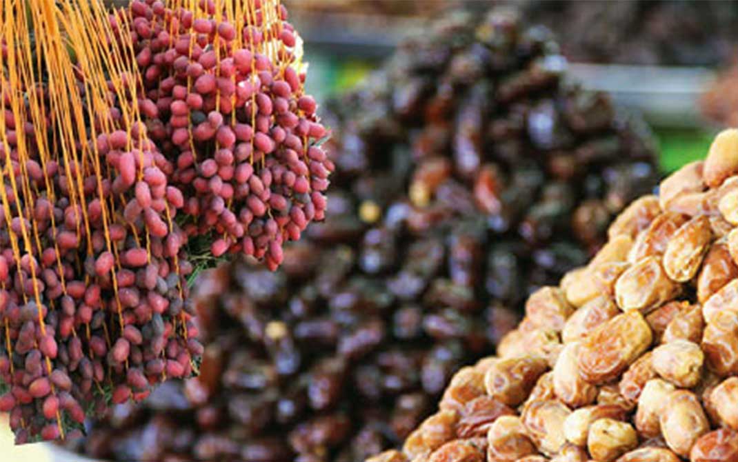کارتن سازى در ایران خرما کارتن سازى در ایران خرما