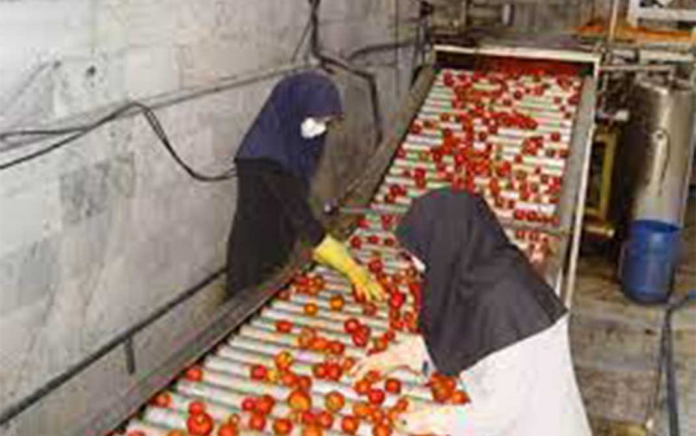 صنایع تبدیلی