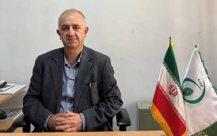 ماده اولیه لیگنوسلولزی